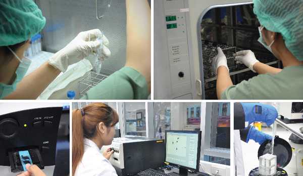 【Jetanin杰特宁】泰国皇家医院，一家高成功率的IVF生殖中心